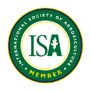 ISA_Member_1_v1