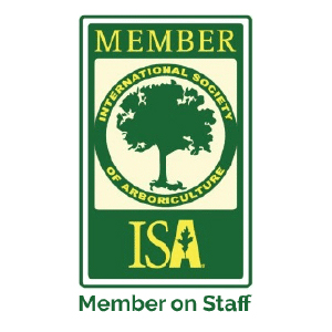 ISA_Member_OnStaff_v1